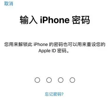 临高苹果15维修网点分享iPhone 15六位密码怎么改四位 