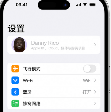 临高appleID维修服务iPhone设置中Apple ID显示为灰色无法使用 