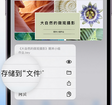 临高apple维修中心分享iPhone文件应用中存储和找到下载文件