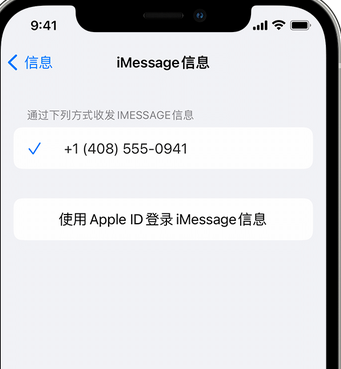 临高apple维修iPhone上无法正常发送iMessage信息