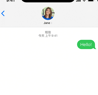 临高apple维修iPhone上无法正常发送iMessage信息