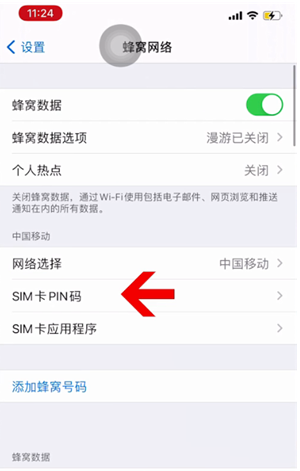 临高苹果14维修网分享如何给iPhone14的SIM卡设置密码 