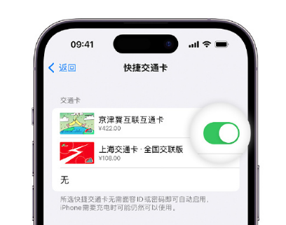 临高apple维修点分享iPhone上更换Apple Pay快捷交通卡手绘卡面 