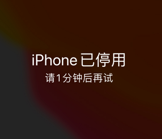 临高苹果手机维修分享:iPhone 显示“不可用”或“已停用”怎么办？还能保留数据吗？ 