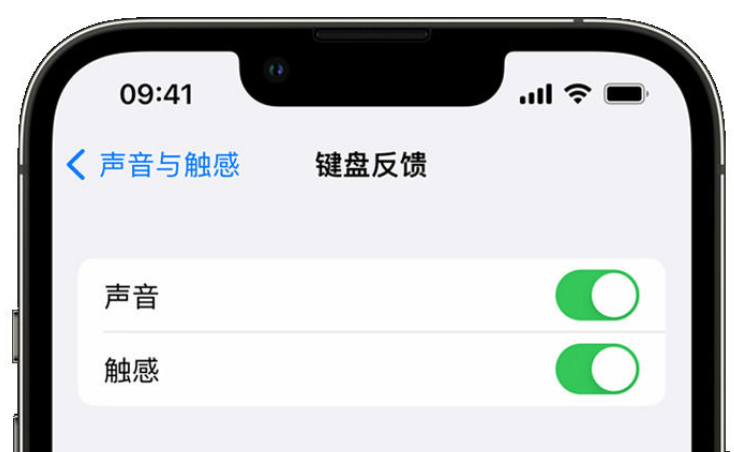 临高苹果手机维修分享iPhone 14触感键盘使用方法 