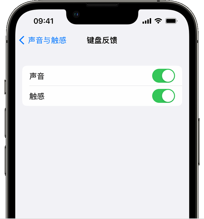 临高苹果14维修店分享如何在 iPhone 14 机型中使用触感键盘 