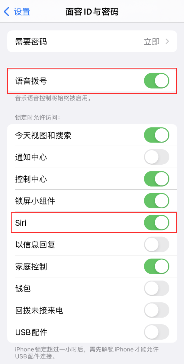 临高苹果维修网点分享不解锁 iPhone 的情况下通过 Siri 拨打电话的方法 