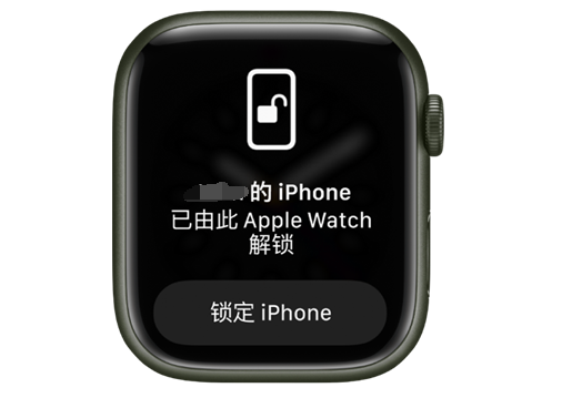 临高苹果手机维修分享用 AppleWatch 解锁配备面容 ID 的 iPhone方法 