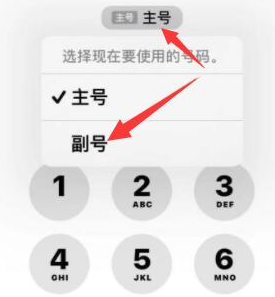 临高苹果14维修店分享iPhone 14 Pro Max使用副卡打电话的方法 