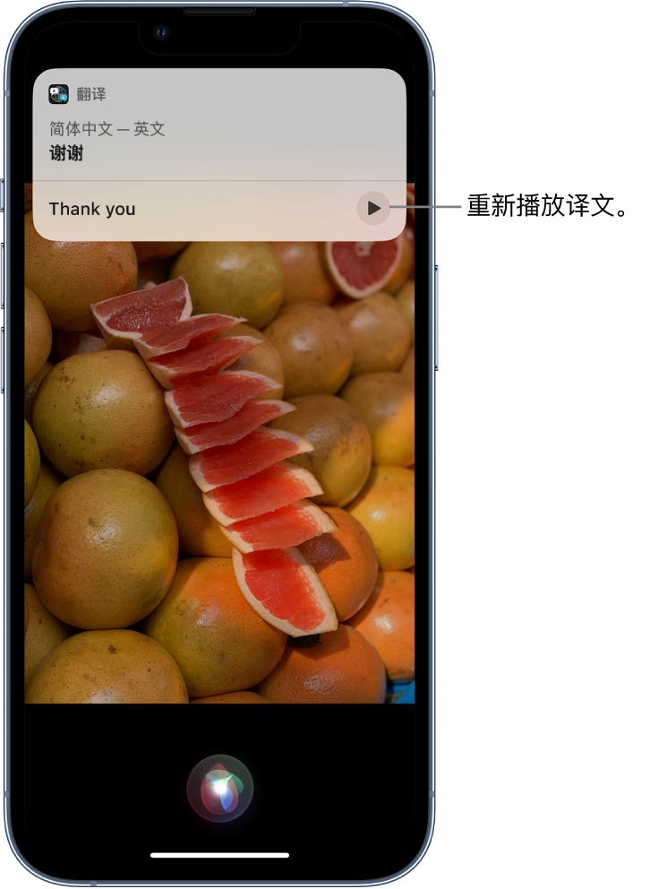 临高苹果14维修分享 iPhone 14 机型中使用 Siri：了解 Siri 能帮你做什么 