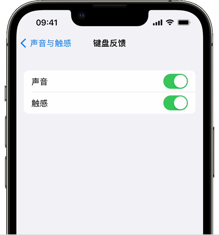 临高苹果14维修分享iPhone 14 系列机型如何开启键盘声音或触感反馈 