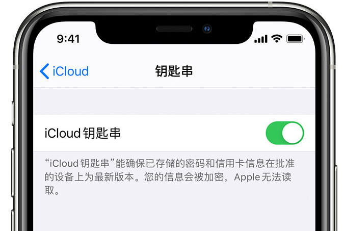 临高苹果手机维修分享在 iPhone 上开启 iCloud 钥匙串之后会储存哪些信息 