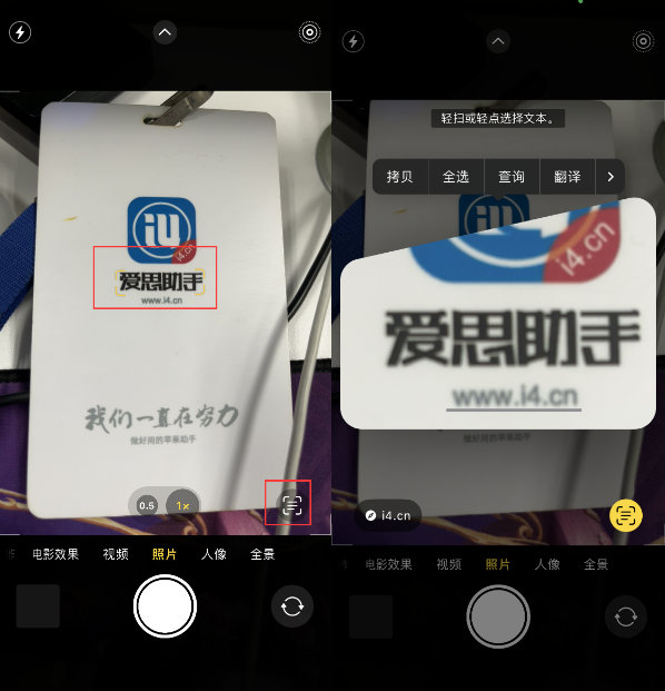 临高苹果手机维修分享升级iOS 16后如何通过相机翻译文本 