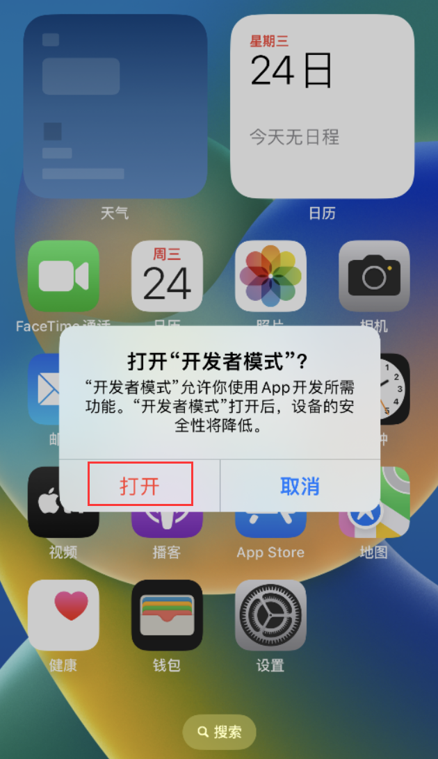 临高苹果手机维修分享如何打开开发者模式 