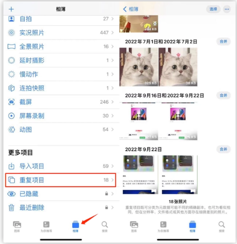 临高苹果手机维修分享iOS 16 中相册重复项目功能使用方法 