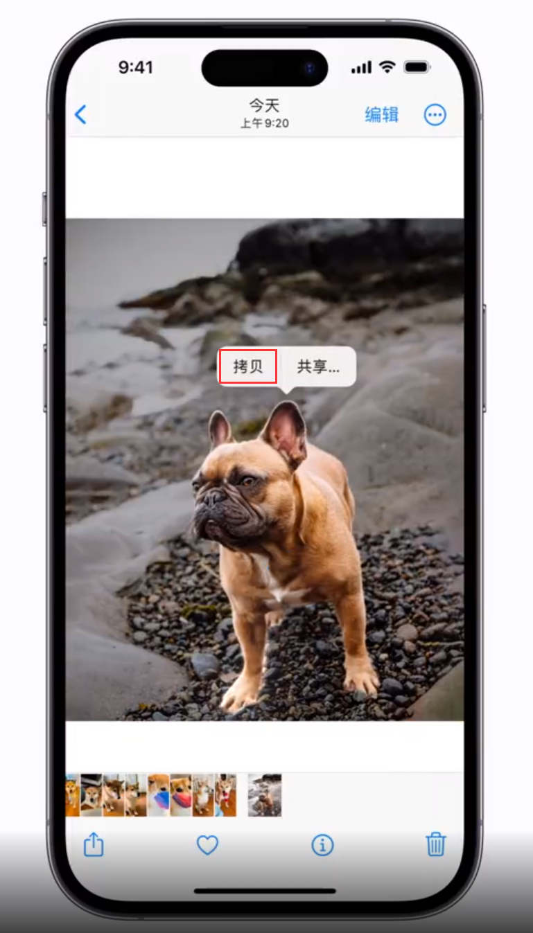 临高苹果手机维修分享 iOS 16 自带一键抠图功能 