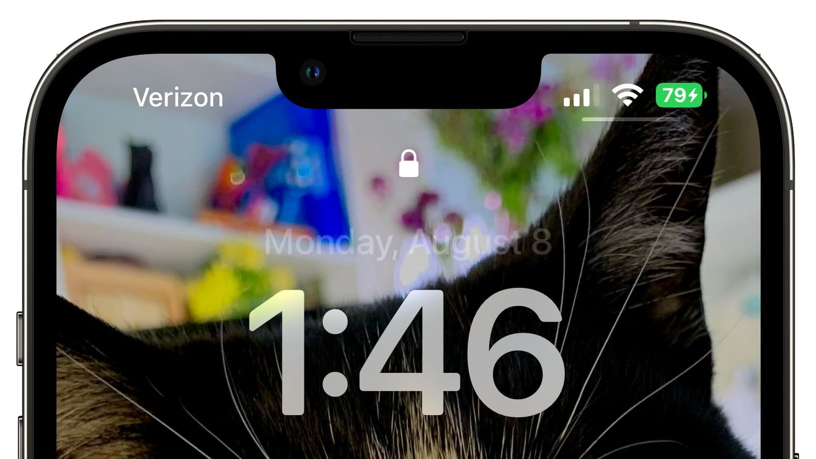 临高苹果手机维修分享iOS 16 beta 5 支持状态栏显示电池百分比，如何开启？支持哪些机型 