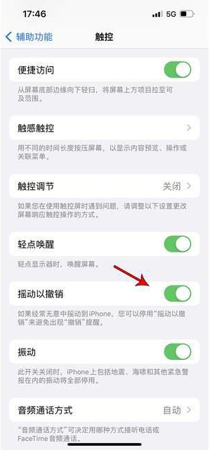 临高苹果手机维修分享iPhone手机如何设置摇一摇删除文字 