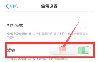 临高苹果13维修分享iPhone13拍照有绿点是怎么回事 