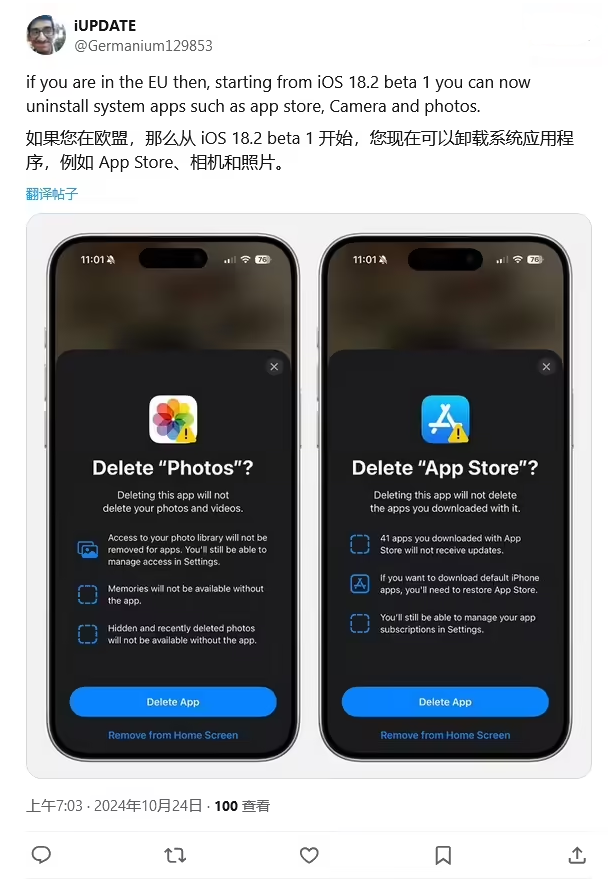 临高苹果手机维修分享iOS 18.2 支持删除 App Store 应用商店 