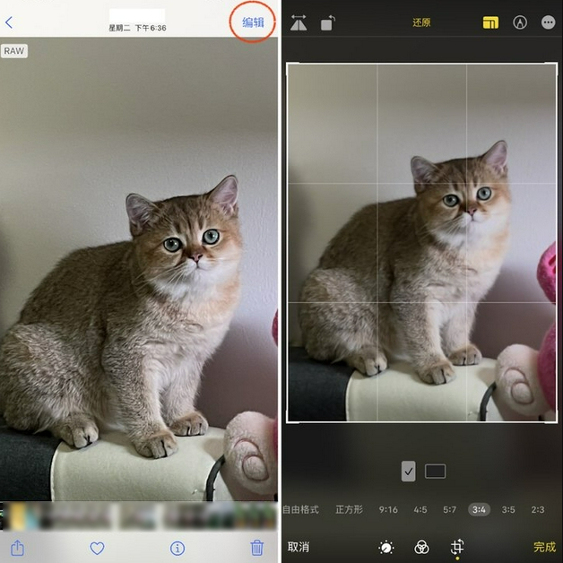 临高苹果手机维修分享苹果 iPhone 12 Pro 拍照会过度锐化 