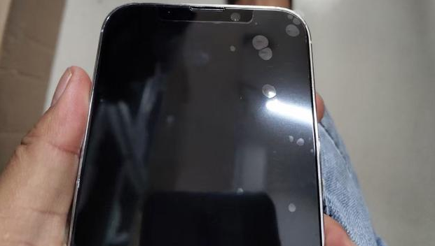 临高苹果手机维修分享iPhone 13‌机模长什么样 