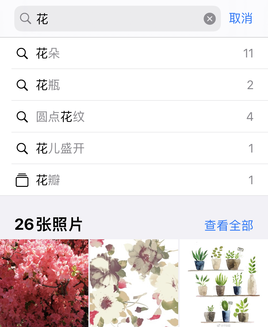 临高苹果手机维修分享iPhone 小技巧 