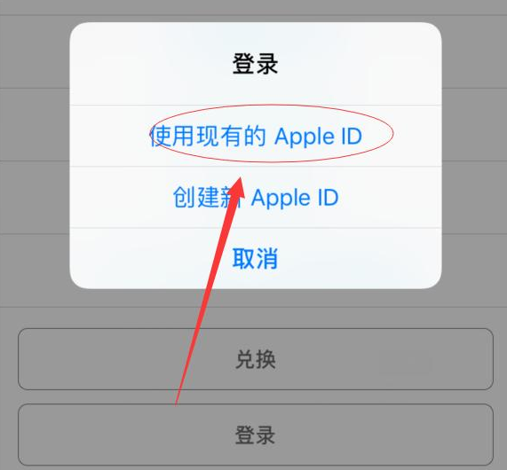 临高苹果手机维修分享两台iPhone设备可以同时登录一个Apple ID吗 