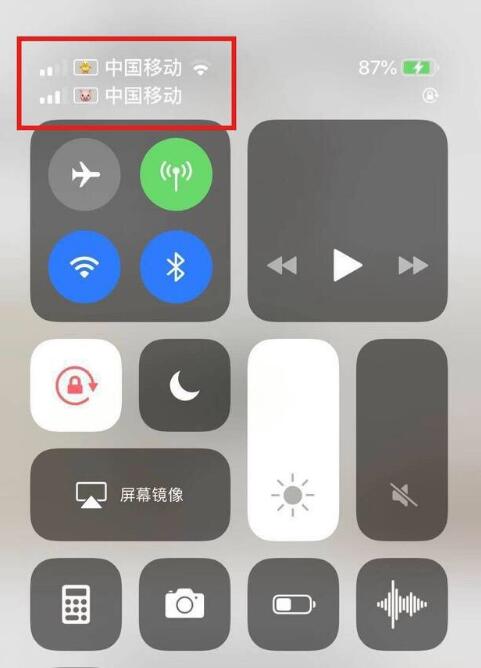 临高苹果手机维修分享为 iPhone 12 双卡设置标签 