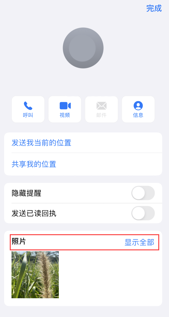 临高苹果手机维修分享如何快速查找 iMessage 信息中的图片等附件 