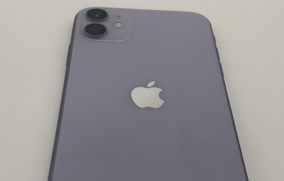 临高苹果11系统维修分享iPhone11手机系统崩溃无法开机如何解决 